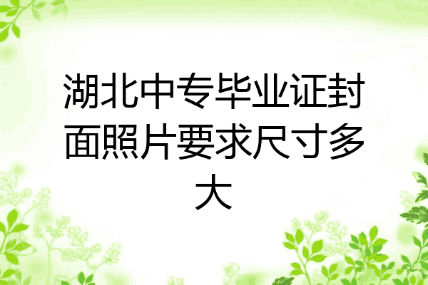 湖北中专毕业证封面照片要求尺寸多大