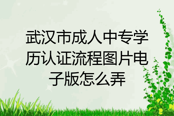 武汉市成人中专学历认证流程图片电子版怎么弄