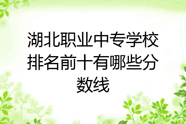 湖北职业中专学校排名前十有哪些分数线