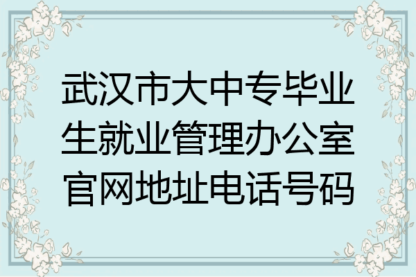 武汉市大中专毕业生就业管理办公室官网地址电话号码