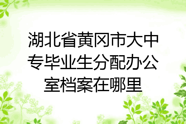湖北省黄冈市大中专毕业生分配办公室档案在哪里