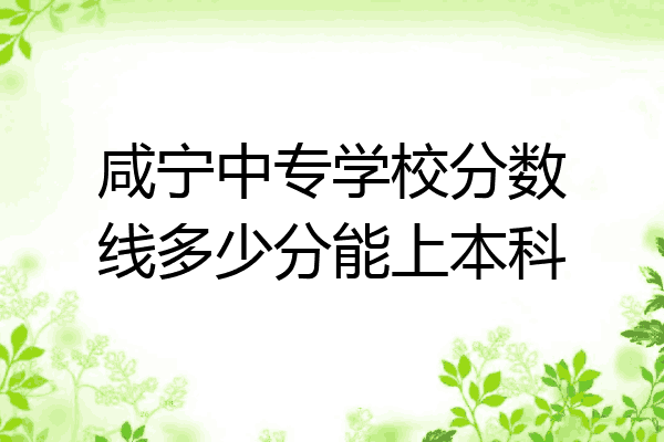 咸宁中专学校分数线多少分能上本科