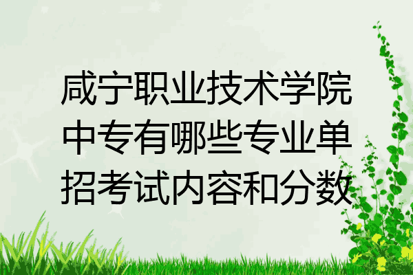 咸宁职业技术学院中专有哪些专业单招考试内容和分数