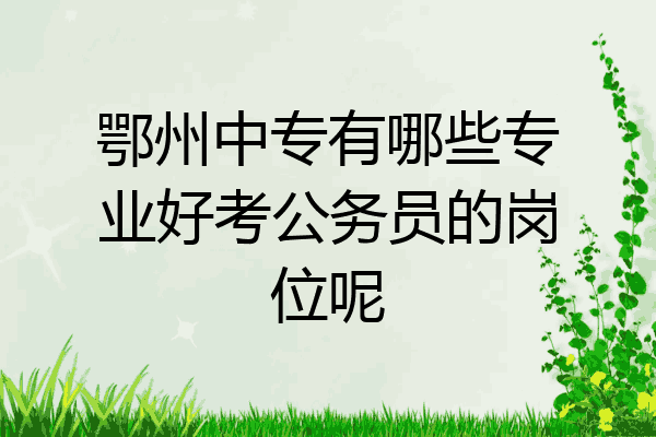 鄂州中专有哪些专业好考公务员的岗位呢