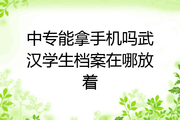 中专能拿手机吗武汉学生档案在哪放着