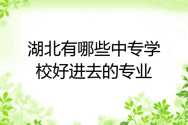 湖北有哪些中专学校好进去的专业