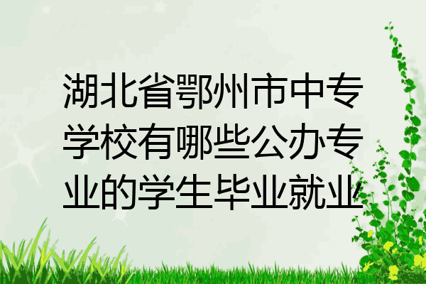 湖北省鄂州市中专学校有哪些公办专业的学生毕业就业