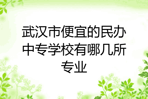 武汉市便宜的民办中专学校有哪几所专业