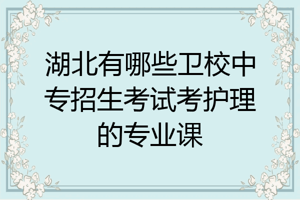 湖北有哪些卫校中专招生考试考护理的专业课