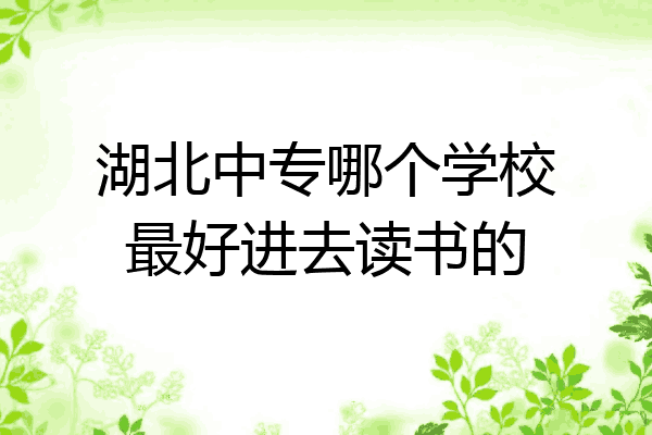 湖北中专哪个学校最好进去读书的