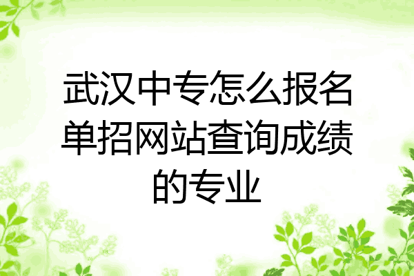 武汉中专怎么报名单招网站查询成绩的专业