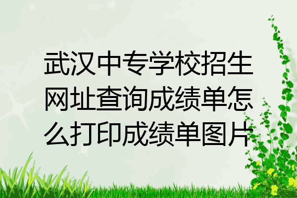 武汉中专学校招生网址查询成绩单怎么打印成绩单图片