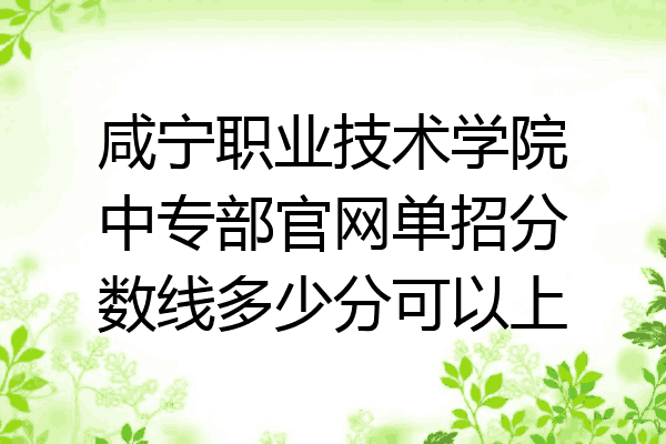 咸宁职业技术学院中专部官网单招分数线多少分可以上