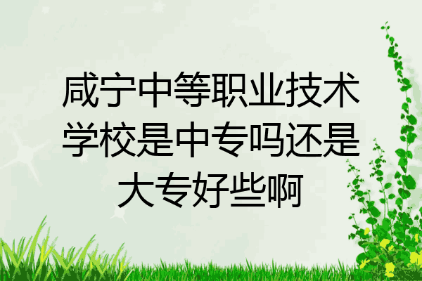 咸宁中等职业技术学校是中专吗还是大专好些啊
