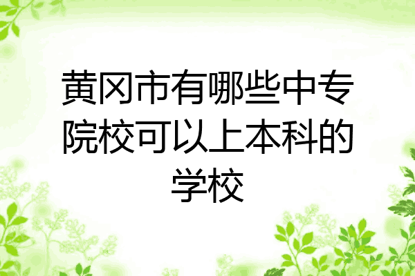 黄冈市有哪些中专院校可以上本科的学校
