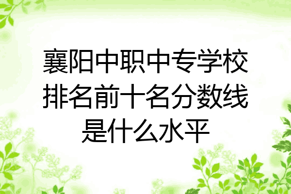 襄阳中职中专学校排名前十名分数线是什么水平