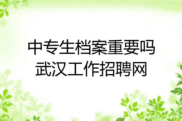 中专生档案重要吗武汉工作招聘网