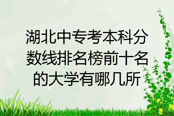 湖北中专考本科分数线排名榜前十名的大学有哪几所