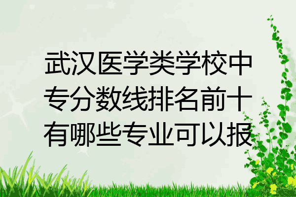 武汉医学类学校中专分数线排名前十有哪些专业可以报