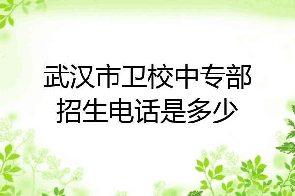 武汉市卫校中专部招生电话是多少
