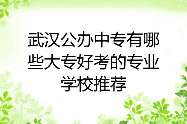 武汉公办中专有哪些大专好考的专业学校推荐