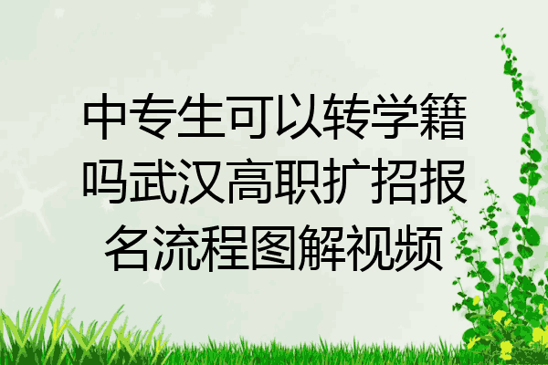 中专生可以转学籍吗武汉高职扩招报名流程图解视频