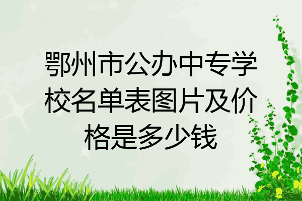 鄂州市公办中专学校名单表图片及价格是多少钱