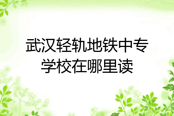 武汉轻轨地铁中专学校在哪里读