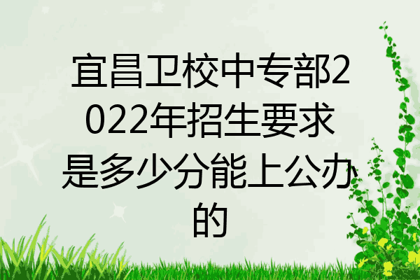 宜昌卫校中专部2022年招生要求是多少分能上公办的