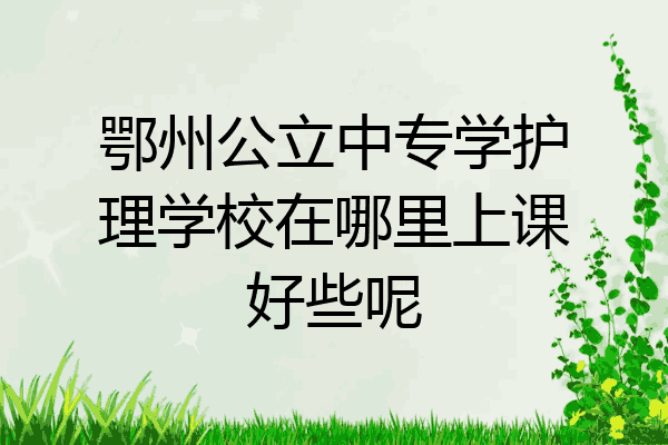 鄂州公立中专学护理学校在哪里上课好些呢