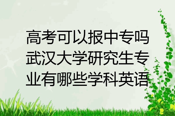 高考可以报中专吗武汉大学研究生专业有哪些学科英语