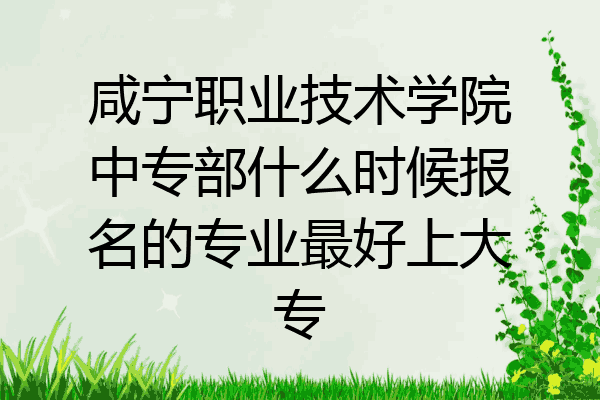 咸宁职业技术学院中专部什么时候报名的专业最好上大专