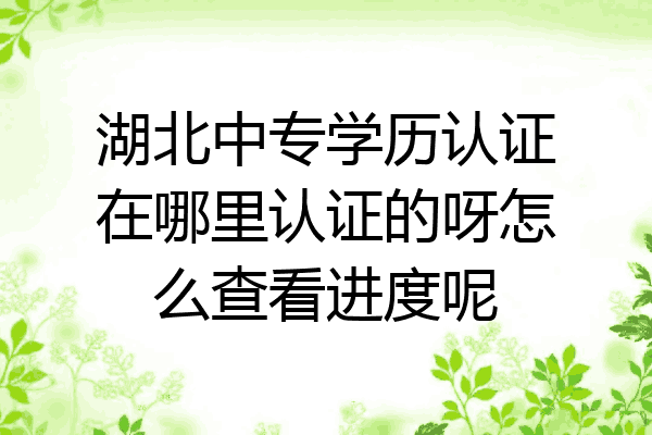 湖北中专学历认证在哪里认证的呀怎么查看进度呢