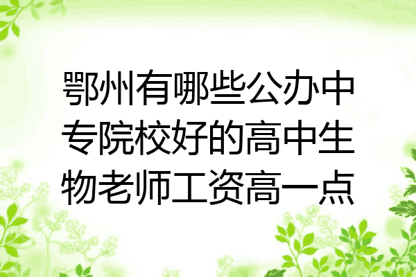 鄂州有哪些公办中专院校好的高中生物老师工资高一点