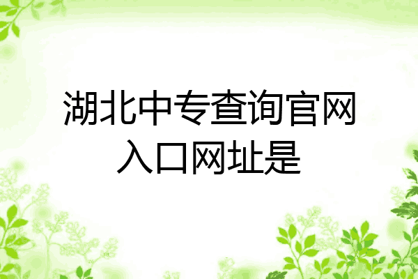 湖北中专查询官网入口网址是