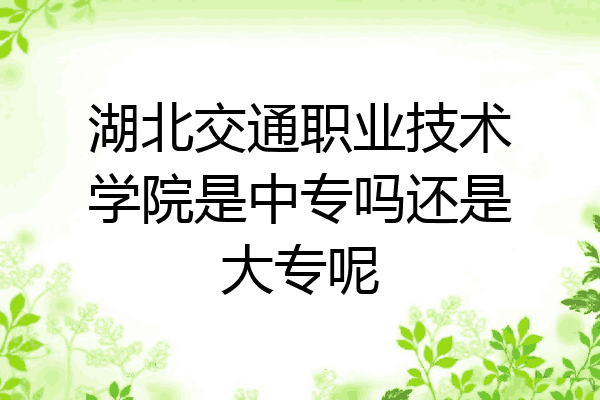 湖北交通职业技术学院是中专吗还是大专呢