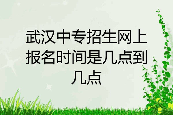 武汉中专招生网上报名时间是几点到几点