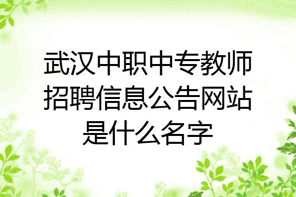 武汉中职中专教师招聘信息公告网站是什么名字