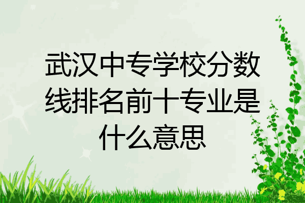 武汉中专学校分数线排名前十专业是什么意思
