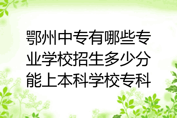 鄂州中专有哪些专业学校招生多少分能上本科学校专科