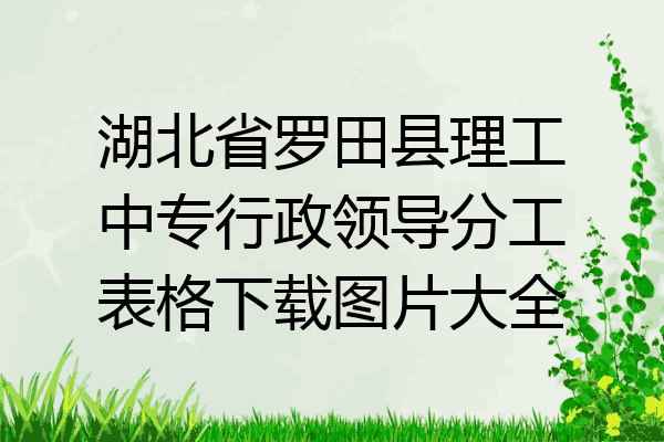 湖北省罗田县理工中专行政领导分工表格下载图片大全
