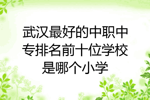武汉最好的中职中专排名前十位学校是哪个小学