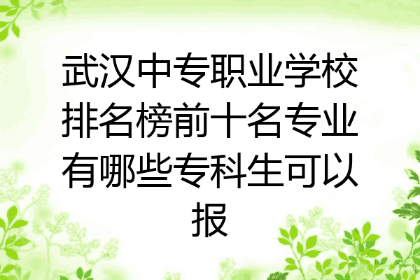 武汉中专职业学校排名榜前十名专业有哪些专科生可以报