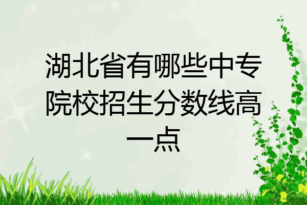 湖北省有哪些中专院校招生分数线高一点