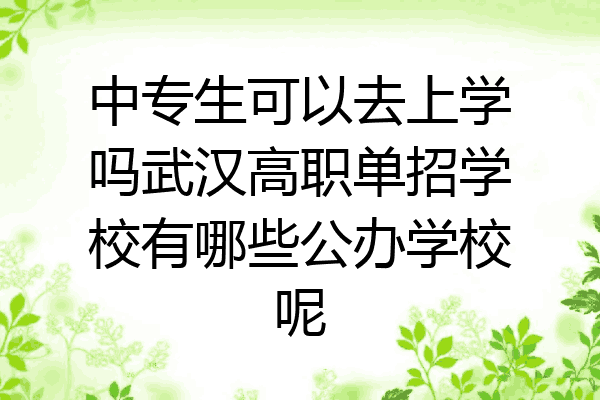 中专生可以去上学吗武汉高职单招学校有哪些公办学校呢
