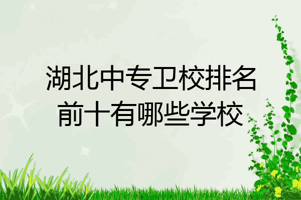 湖北中专卫校排名前十有哪些学校
