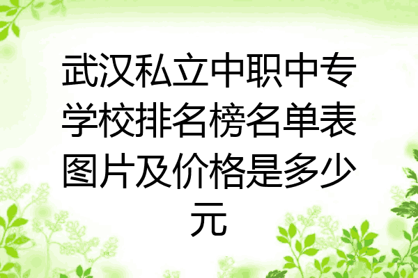武汉私立中职中专学校排名榜名单表图片及价格是多少元