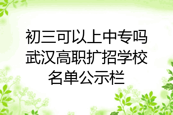 初三可以上中专吗武汉高职扩招学校名单公示栏