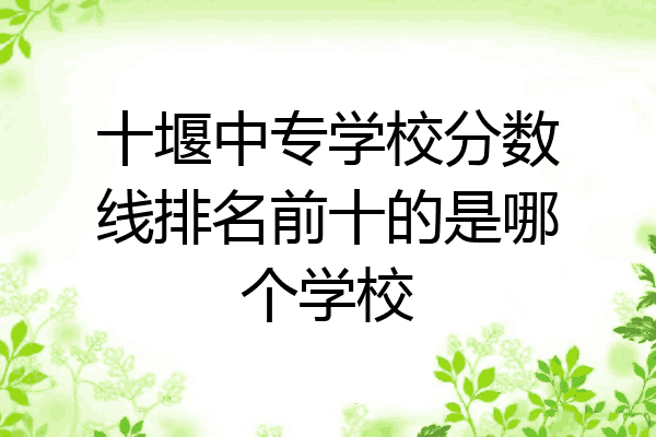 十堰中专学校分数线排名前十的是哪个学校
