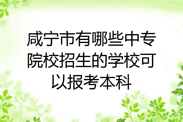 咸宁市有哪些中专院校招生的学校可以报考本科